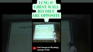 Recoils of lung and chest wall is opposite  shorts youtubeshorts youtube ytshorts [upl. by Aelyak]