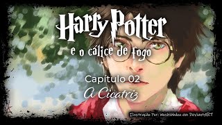 Harry Potter e o Cálice de Fogo  Capitulo 02  A Cicatriz [upl. by Einaffit742]