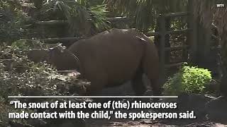 2YearOld Girl Falls into Rhino Exhibit at Florida Zoo [upl. by Andy]