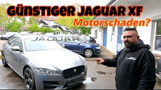 Günstig Katze mit Motor Probleme Jaguar XF MotorschadenOttocast P3 [upl. by Iak369]