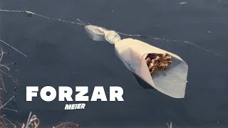 Meier  Forzar Visualizer Oficial [upl. by Stambaugh]