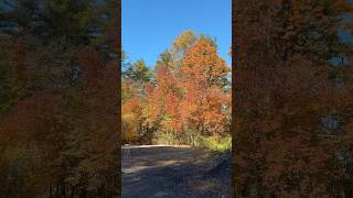 My New Hampshire property in the fall time [upl. by Royal]