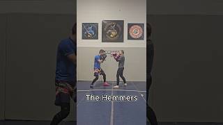 The Hemmers Combination boxing fighttechniques mma [upl. by Teik843]