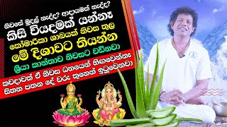 කෝමාරිකා ශාඛයක් නිවස තුල තියන්න  කවදාවත් ඒ නිවස ධනයෙන් හිඟවෙන්නෑ සිතන පතන දේ වරු තුනෙන් ඉටුවෙනවා [upl. by Ahsinel]