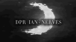 dpr ian  nerves slowedlyrics [upl. by Atekahs909]