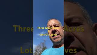 Meet 3 Green Acres youtubehighfive Fall [upl. by Hgielac]