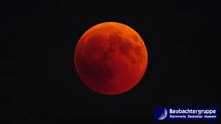 Blutmond  Mondfinsternis  Jahrhundertmondfinsternis über München [upl. by Nessy471]