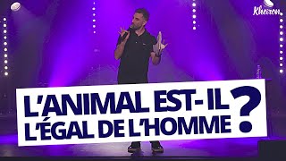 L’animal estil l’égal de l’homme   60 minutes avec Kheiron [upl. by Ary155]