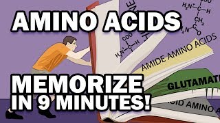 Memorize the 20 Amino Acids in 9 Minutes [upl. by Atims]