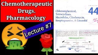 Chemotherapeutic drugs pharmacology lecture7 chapter 44 chloramphenicol tetracycline MACROLIDES [upl. by Benedetto684]