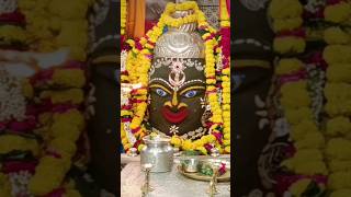 Ujjain Mahakal Status shorts ujjain mahakal trending reels harharmahadev ytshorts ujjain [upl. by Mezoff]