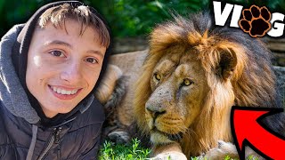 RENISI DHE LUANI JAN BO SHOK  VLOG NE KOPSHTIN ZOOLOGJIK [upl. by Hildebrandt]