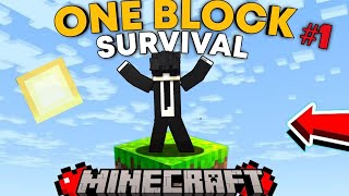 WELCOME TO MY NEW ONE BLOCK MINECRAFT WORLD MINECRAFT ONE BLOCK PART  1 [upl. by Sayre98]