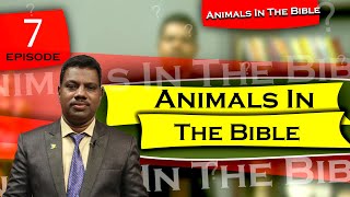 07 Animals in the Bible  Donkey  Kiran Babu [upl. by Esyahc853]