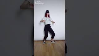 SAINt JHN  Roses Imanbek Remix  Dance [upl. by Yleen449]