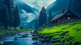 Beautiful Relaxing Music  Stop Overthinking Stress Relief Music Sleep Music Calming Music 60 [upl. by Joub]