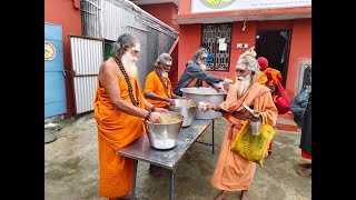 Tiruvannamalai  17 Nov 2024  Annadhanam for 350 Sadhus [upl. by Assener]