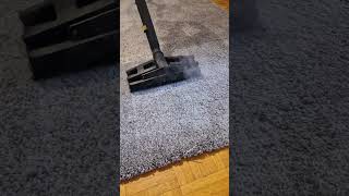 Teppichreinigung Carpet cleaning furniturecleaning carpetcleaning teppiche [upl. by Broome]