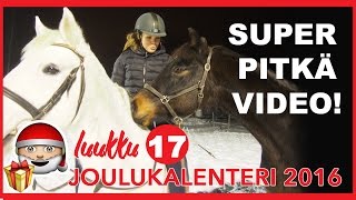 PITKÄ YHTEINEN TALLIVIDEOPOSTAUS [upl. by Harobed]