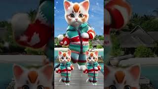 😻Cat videos funny dance 💃😃Videos for catsvfunnycats dancingcat catlovers furrycornerz [upl. by Siver]