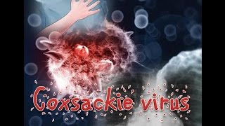 Coxsackie virus [upl. by Corey]