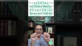 ¿Cómo crece el hueso maxilar en los niños Dr Jesús RangelChávez RinoEstomatología Clínica [upl. by Cassandre]