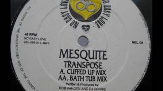 Mesquite  Transpose Bath Tub Mix 1995 [upl. by Attenreb]