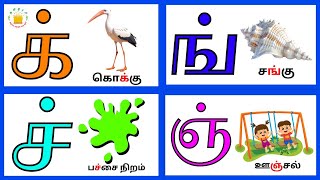 மெய் எழுத்துக்கள்க் ன்  Mei Eluthukkal  Tamil Letters Tamilarasi [upl. by Eislehc]