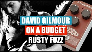 How to sound like David Gilmour on a budget  TC Electronic Rusty Fuzz [upl. by Irvin881]