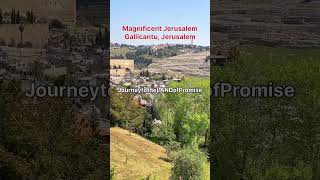 Wonderful City of Jerusalem Gallicantu Jerusalem israel oldcityjerusalem israelicapital [upl. by Euf]