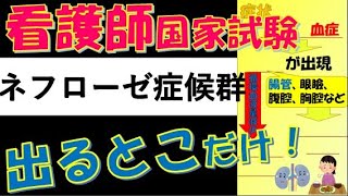 看護師国家試験出るとこだけ『ネフローゼ症候群』 聞いて覚える。 [upl. by Corissa]