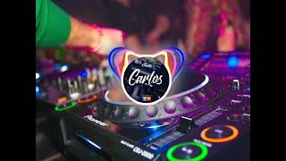 Mix Perreo Intenso 2023  DJ CARLOS [upl. by Fosque]