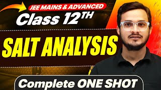 SALT ANALYSIS in 1 Shot  All Concepts Covered  JEE Main amp Advanced  Class 12 [upl. by Neztnaj]