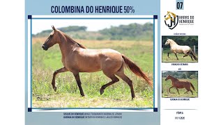 07 Colombina do Henrique 50 [upl. by Puttergill767]