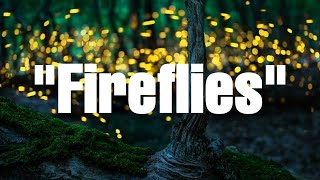 Travis Schlabach  Fireflies Lyric Video [upl. by Tdnarb]