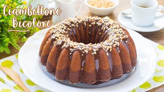 Ciambellone Bicolore Panna e Cioccolato  Ricetta Facile Ciambellone Soffice  55Winston55 [upl. by Conard]