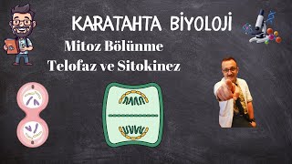 Mitoz Bölünme Telofaz ve Sitokinez [upl. by Atnoved]