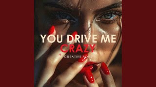 You Drive Me Crazy [upl. by Akim]