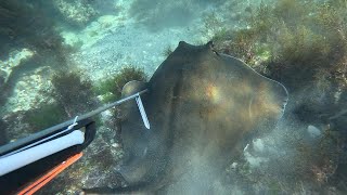 Solo Camping  Catch and Cook Fishing  Black Sea Spearfishing Giant Stingray [upl. by Daniala943]