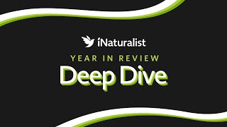 iNaturalist 2023 Deep Dive Webinar [upl. by Airyk]