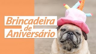 Brincadeira de aniversário [upl. by Lari150]