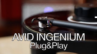 AVID Ingenium PlugampPlay Turntable review [upl. by Norry]