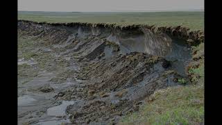 Environmental Biology Thawing Permafrost [upl. by Fabriane]