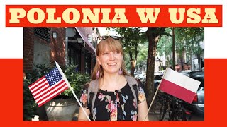 Polacy w USA [upl. by Ellienad484]