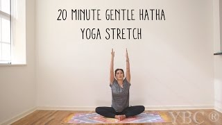 20 Minute Gentle Hatha Yoga Stretch [upl. by Leahcym]