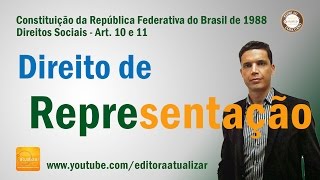 CF88  Arts 10 e 11 Constituição da República [upl. by Nivk138]