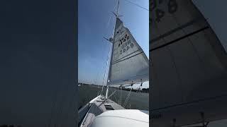 Continuous pro  furlingboom mainsail xyachts shorts [upl. by Nivad704]