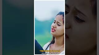 Nirupai ।। Purulia New Sad Song 2024 shorts​ youtubeshorts [upl. by Nodnab974]