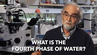 What is the Fourth Phase of Water with Dr Gerald Pollack [upl. by Cyrano]