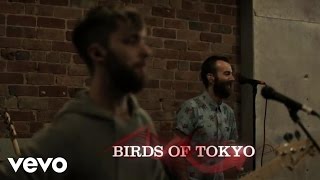 Birds Of Tokyo  This Fire Vevo GO Shows Australia [upl. by Schaefer]